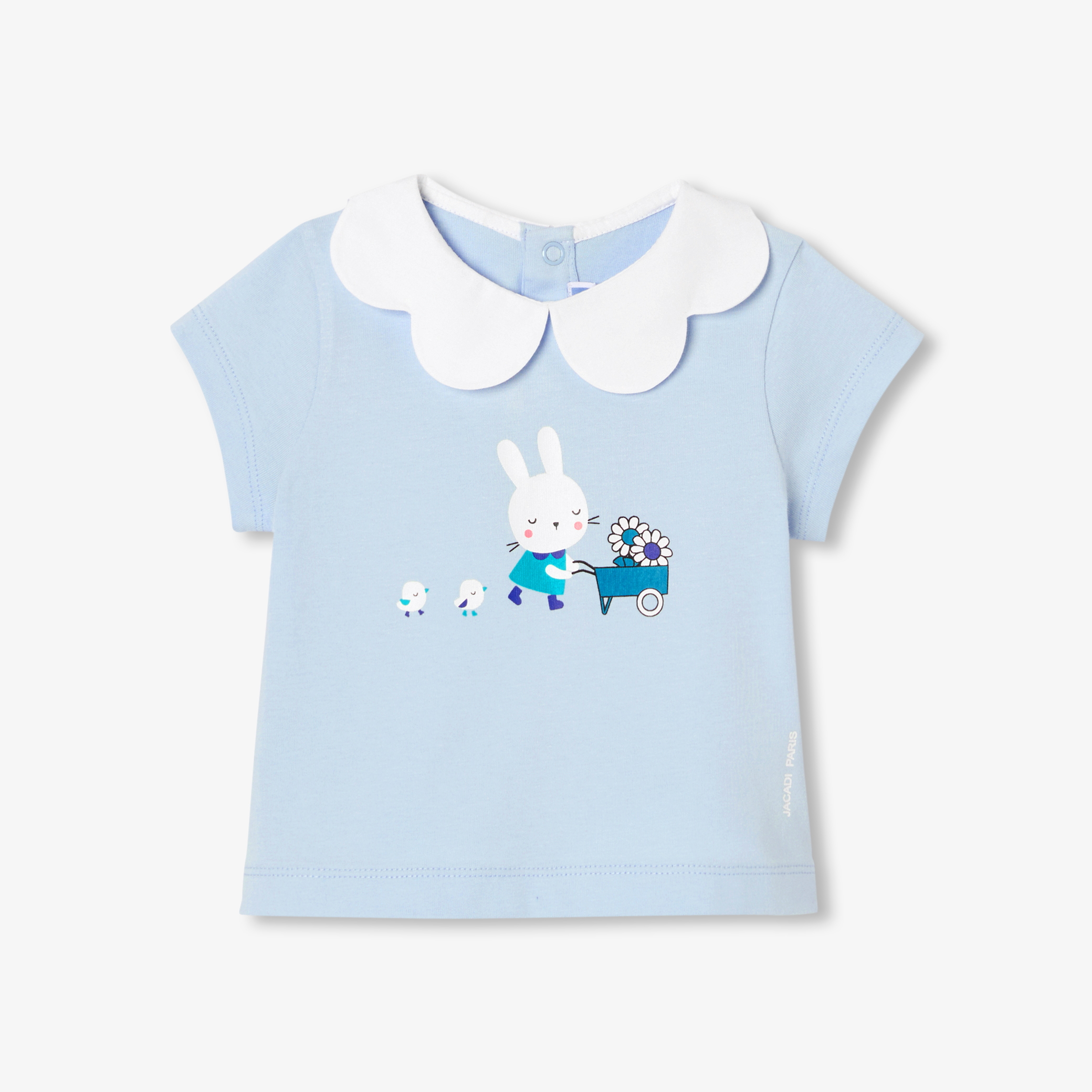 Jacadi - Camisola com gola festonada bebé menina - NUVEM